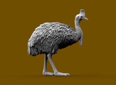 Cassowary
