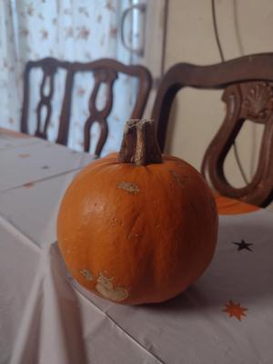Pie Pumpkin 3d scan