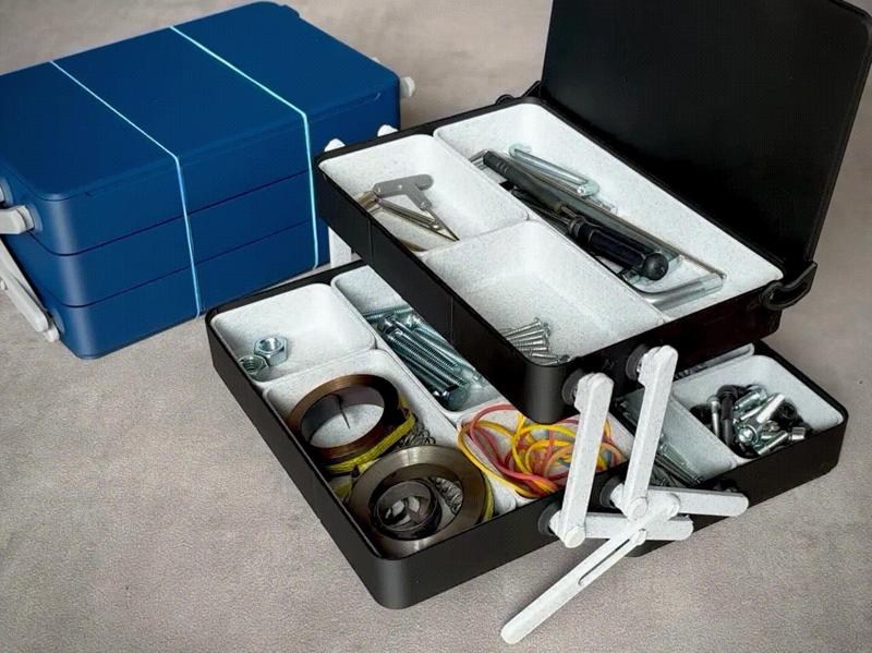 Tilt Box Organizer 