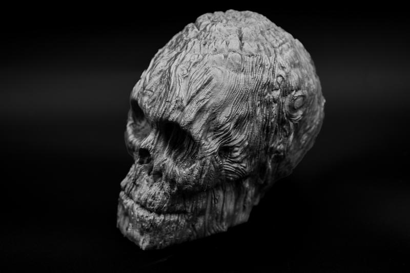 Forest Spirit Skull