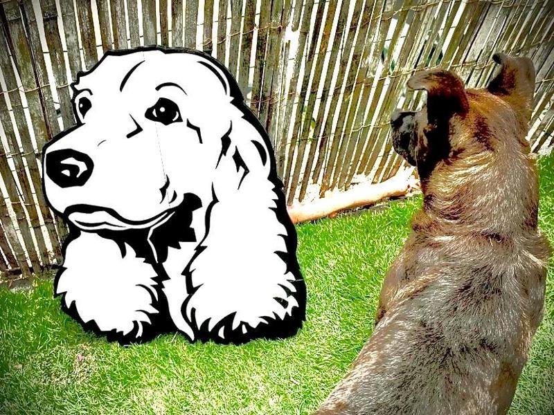 Dog Wall Art