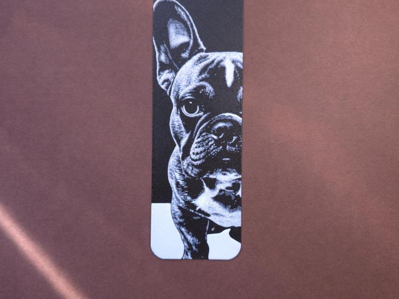 bulldog 1