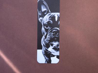 bulldog 1