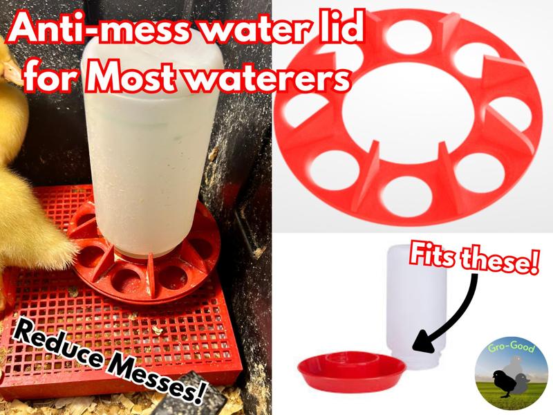 No Mess Waterer For Chicks, Ducklings, and more