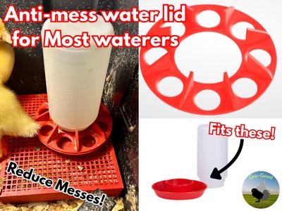 No Mess Waterer For Chicks, Ducklings, and more