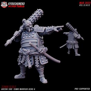 Akeshi Sho Sumo Warrior Hero A
