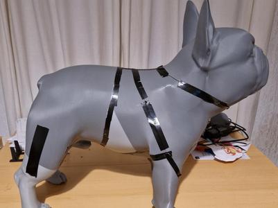 french bulldog life size