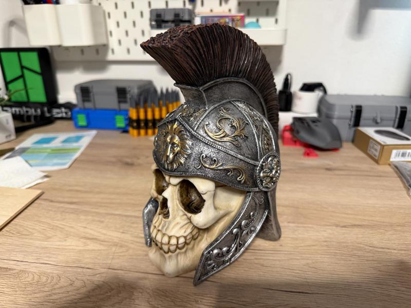 Roman Skull – 240mm