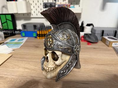 Roman Skull – 240mm