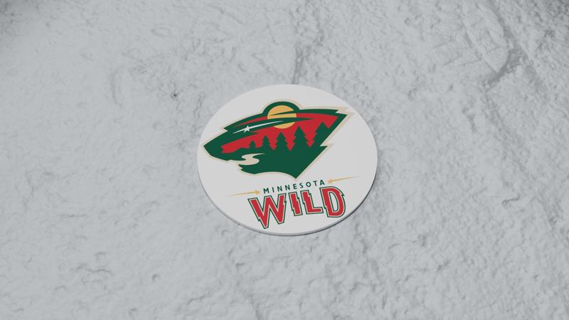 Minnesota Wild Coaster