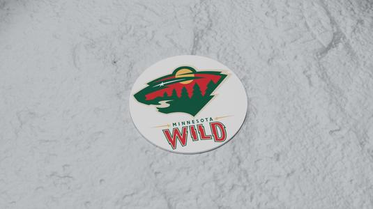 Minnesota Wild Coaster