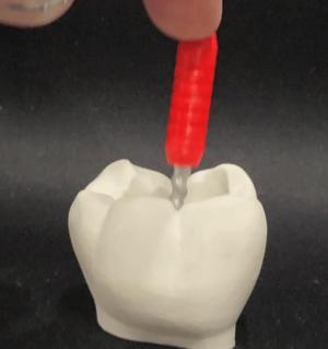 Root Canal Clicker - Endo Clicker