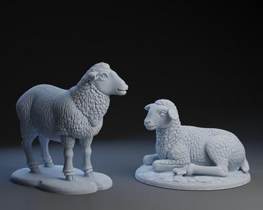 Nativity Sheep Set