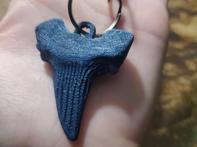 SHARK TOOTH PENDANT CHARM OR KEYCHAIN