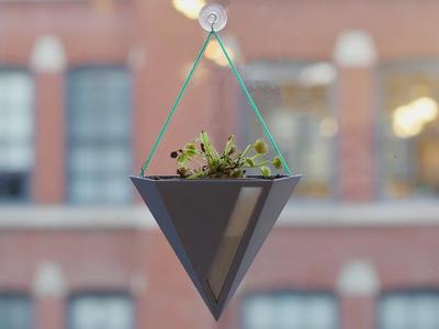 Fuze Hanging Planter