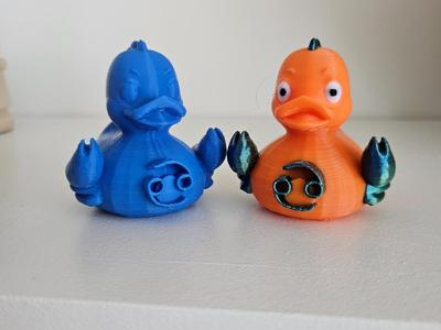 Cancer "The Crab" Duck