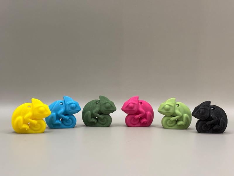 Kilo – 30 min – The Chubbiest Chameleon Cutie