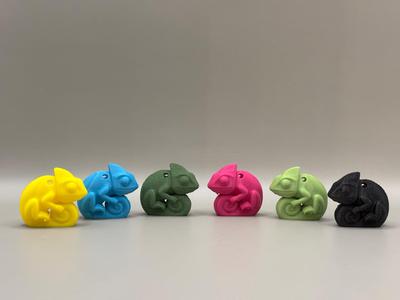 Kilo – 30 min – The Chubbiest Chameleon Cutie