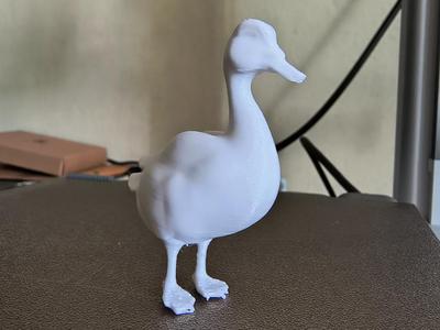 Duck
