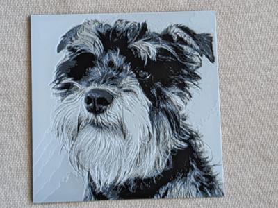 Schnauzer dog hueforge