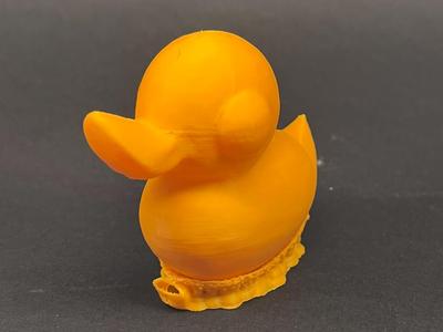 little duckling