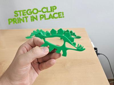 Stego-Clip