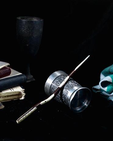 Scorpius Malfoy's Wand - Harry Potter