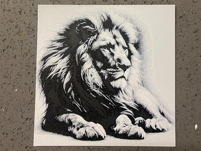 lion 
