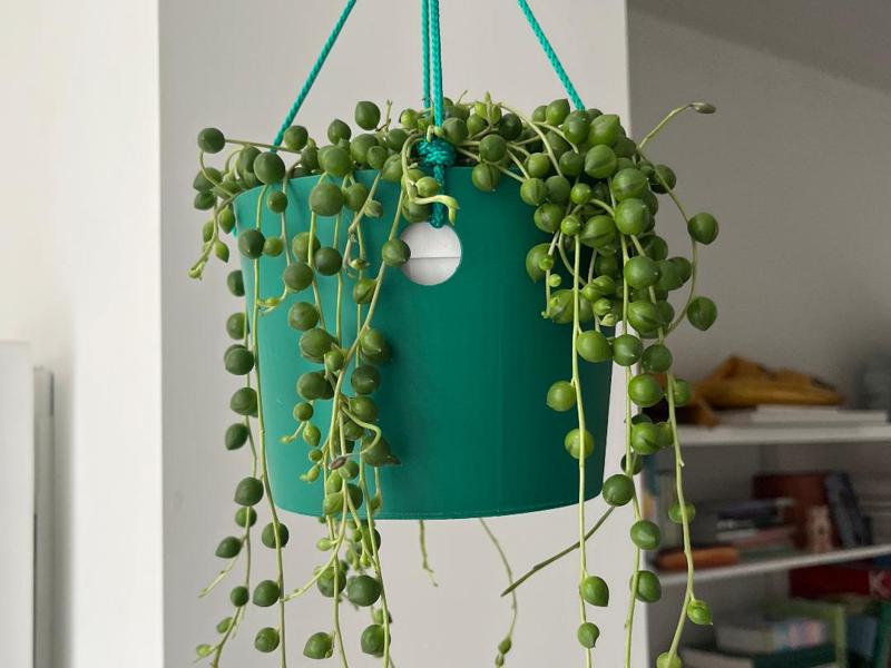 Hanging Flower Pot
