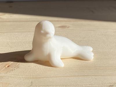 Mini Sea Lion