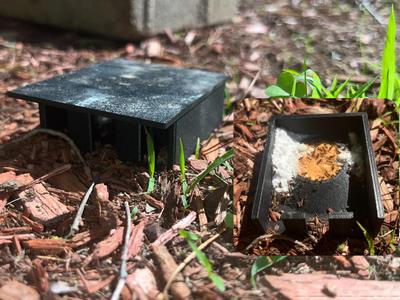 Bait Ant Trap