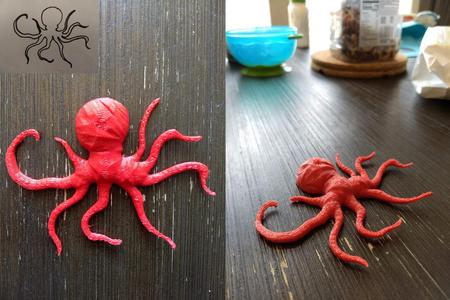 Octopus
