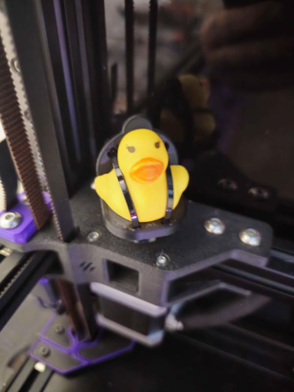 DuckSpecSeat