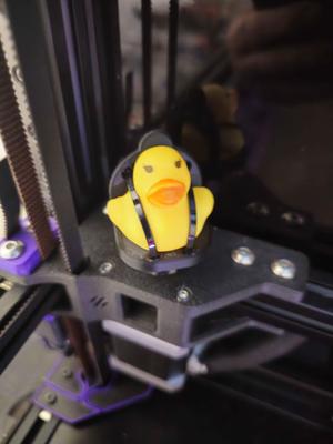 DuckSpecSeat