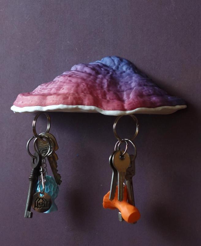 Mushroom magnetic key holder with secret tray “Ganoderma Carnosum”