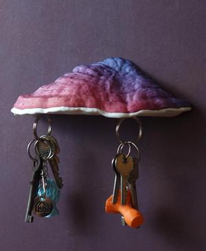 Mushroom magnetic key holder with secret tray “Ganoderma Carnosum”