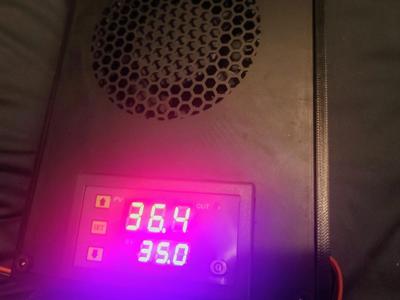 Centauri Carbon Chamber Heater