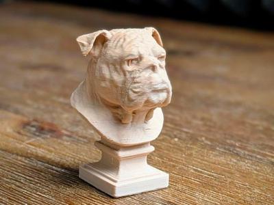 Bulldogus Maximus