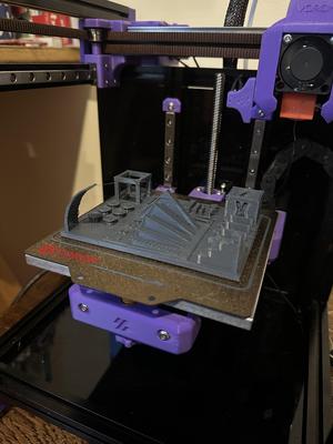 Torture Calibration Test