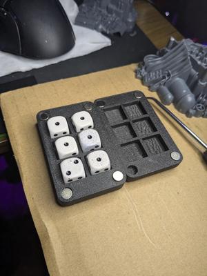 Compact Magnetic D6 Case