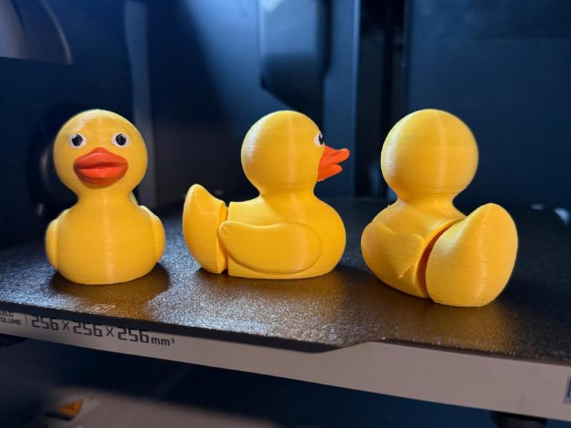 Waddle Duck (Articulating)