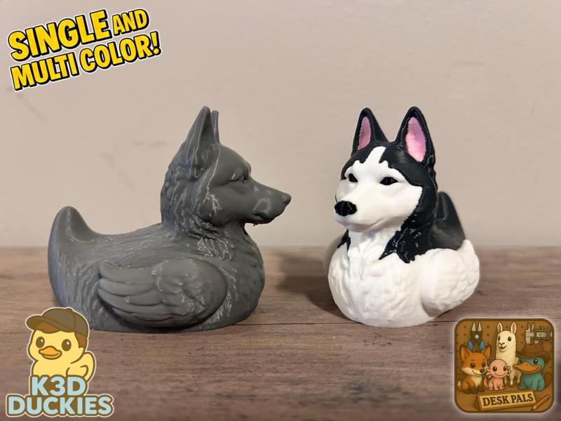 Siberian Husky Duck
