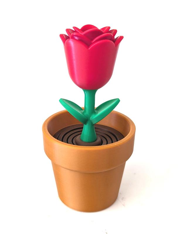 Springy Flower Fidget
