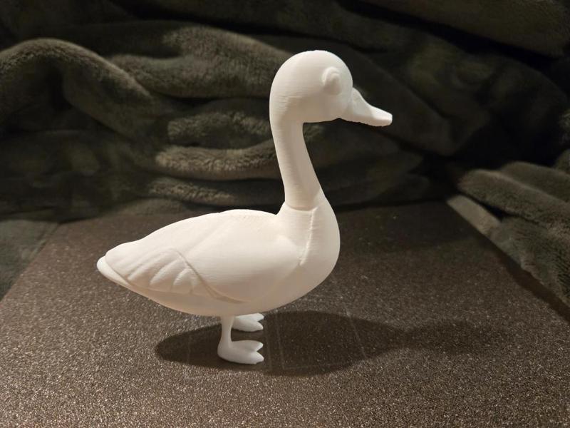 Mr. Quackers (Adorable Standing Duck)