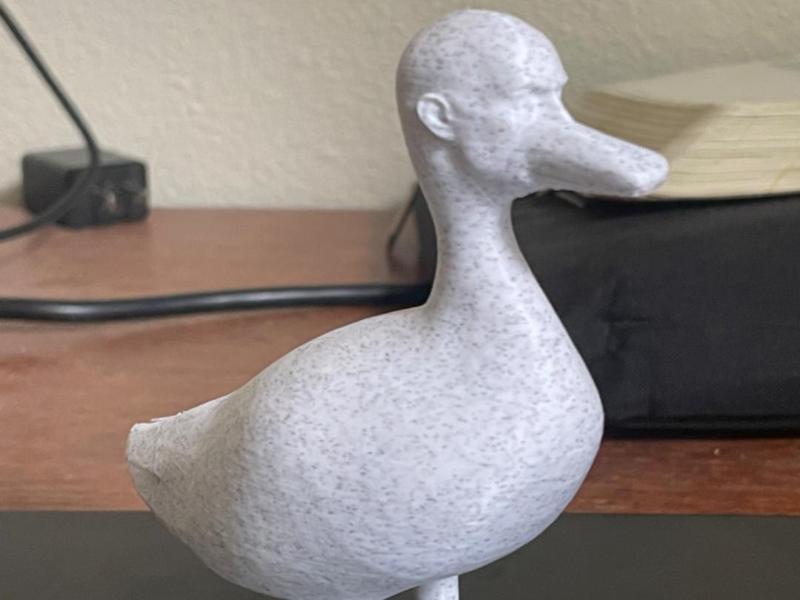Dwayne The Duck Johnson