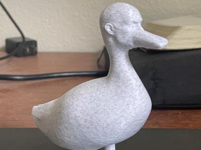 Dwayne The Duck Johnson