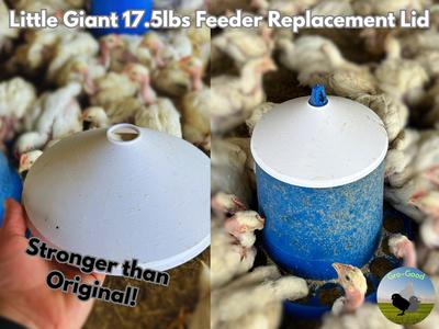 Replacement lid for Little Giant 17.5lbs Feeder