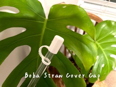 Boba & Smoothie Straw Cover Cap