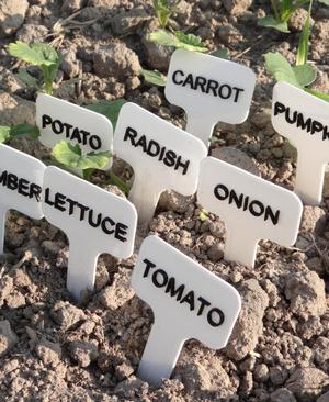Garden vegetables plants markers/labels