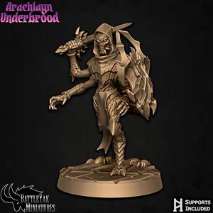 Arachlayn Infiltrator E